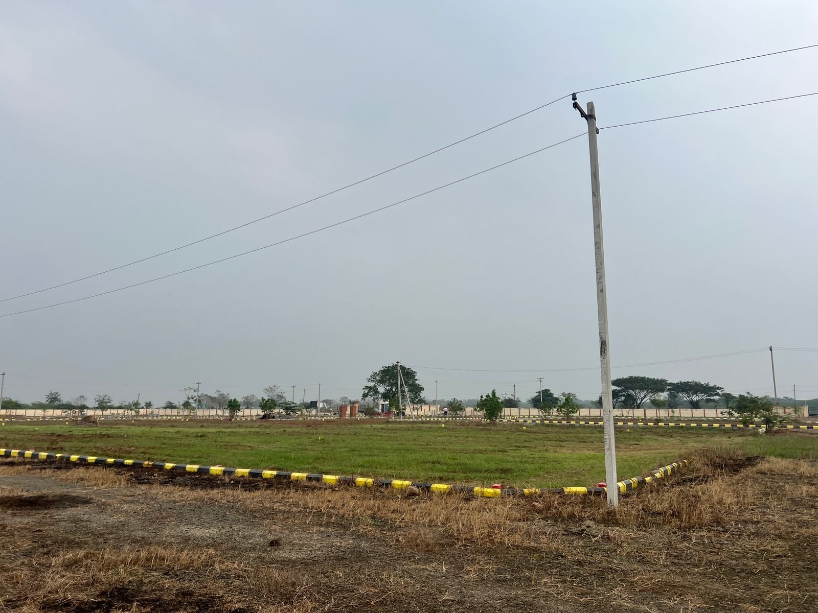 Bhagya Homes The Crown